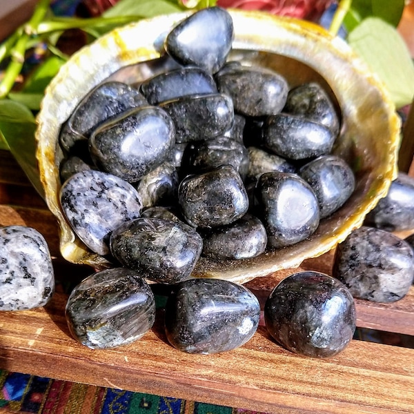 Larvikite Polished Tumble Stone Grounding and Protection Crystal Gemstone Monzonite Norwegian Moonstone