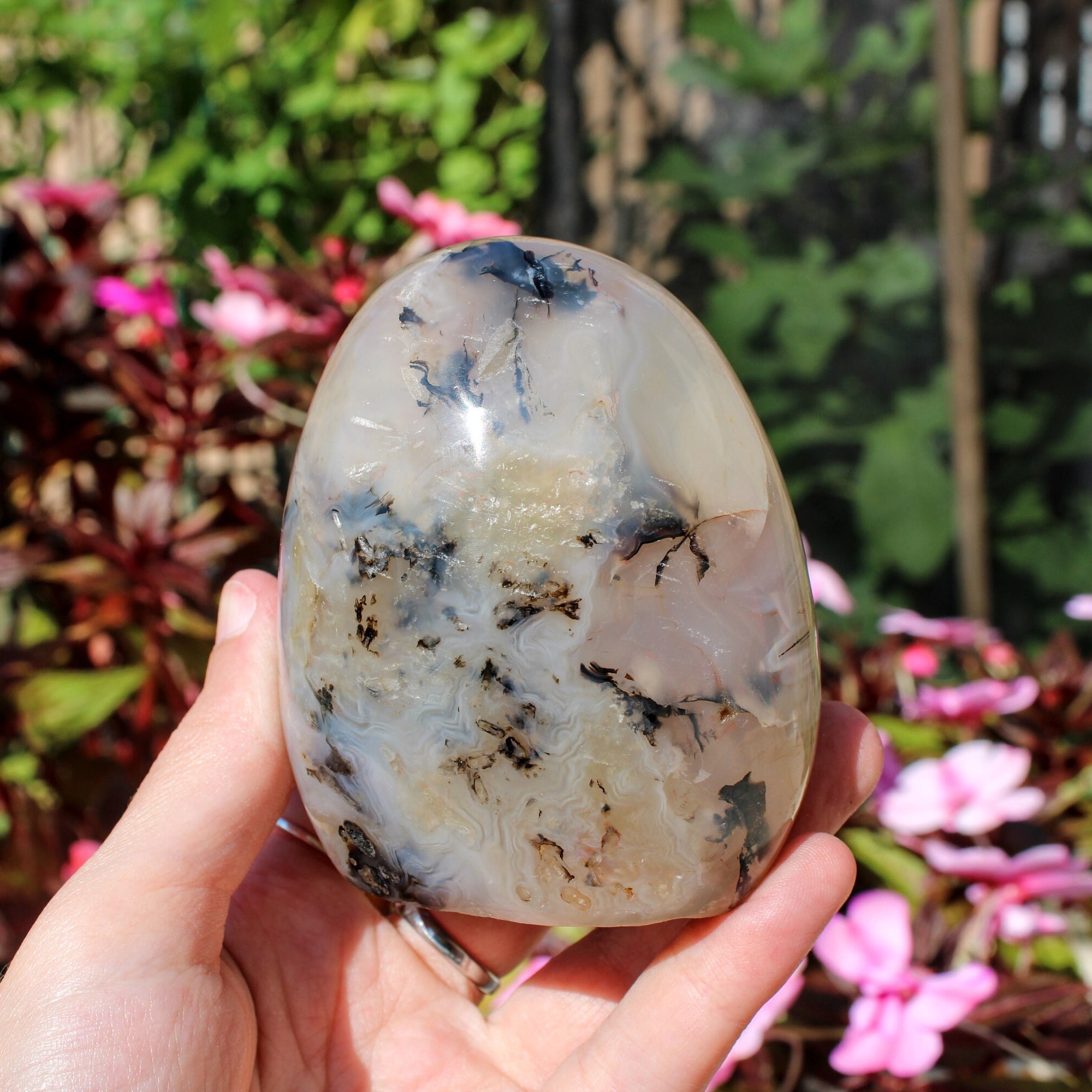 Dendritic agate hotsell for sale