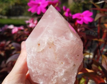 Rose Quartz Point Polished Top Rose Quartz Point the Self Love