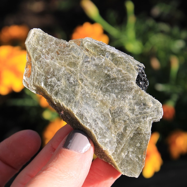 The Modesty Crystal Golden Green Mica in Black Tourmaline Specimen, Green Lepidolite Specimen