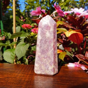 Heart Opening Crystal Rubellite in Quartz Tower Pink Tourmaline in Quartz Point Generator
