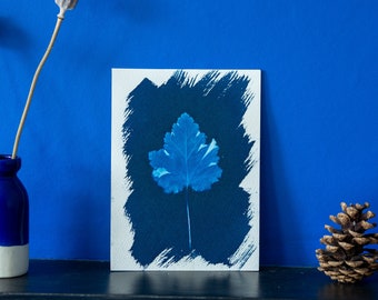 Heuchera Leaf Cyanotype Print - Original Botanical Artwork - Alternative Photography - Sun Print - Blue Nature Art