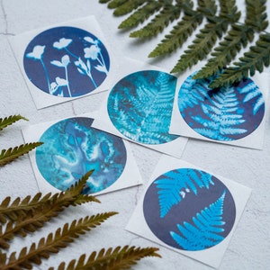 Blue Botanical Cyanotype Stickers Pack of 10 or 20 Round Glossy Labels Ferns, Leaves & Flowers Nature Gift Wrap Supplies, Envelope Seals image 6