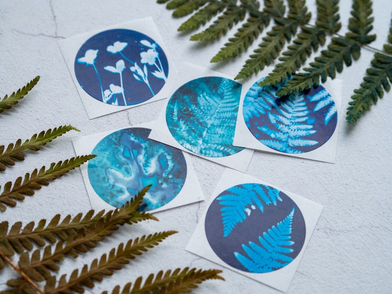 Blue Botanical Cyanotype Stickers Pack of 10 or 20 Round Glossy Labels Ferns, Leaves & Flowers Nature Gift Wrap Supplies, Envelope Seals image 6