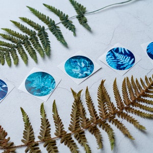 Blue Botanical Cyanotype Stickers Pack of 10 or 20 Round Glossy Labels Ferns, Leaves & Flowers Nature Gift Wrap Supplies, Envelope Seals image 8