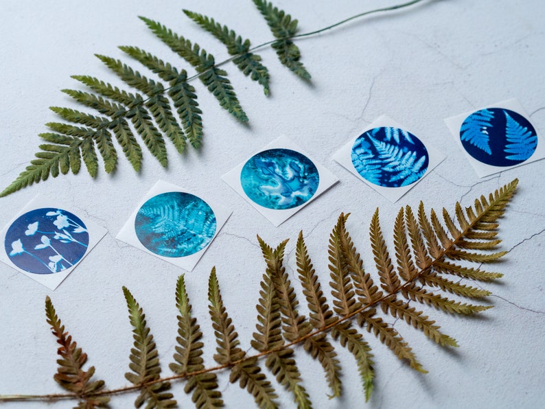 Blue Botanical Cyanotype Stickers Pack of 10 or 20 Round Glossy Labels Ferns, Leaves & Flowers Nature Gift Wrap Supplies, Envelope Seals image 8