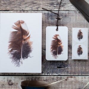 Brown Feather Stationery Set - Card, Sticker & Gift Tag - Blank Greeting Card / Notecard with Recycled Envelope - Plastic-Free!