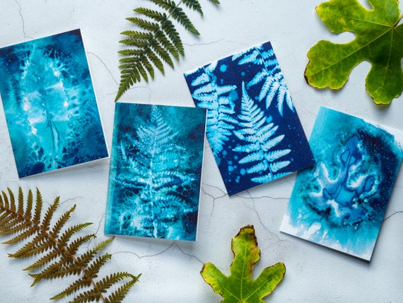 Pack of Blue Cyanotype Cards - Blank Greeting Cards / Notecards with Recycled Envelopes - Pack of 4 - Botanical Sun Prints - Ferns & Leaves