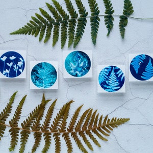 Blue Botanical Cyanotype Stickers Pack of 10 or 20 Round Glossy Labels Ferns, Leaves & Flowers Nature Gift Wrap Supplies, Envelope Seals image 2