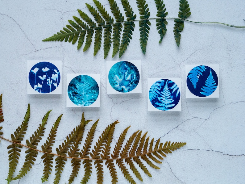 Blue Botanical Cyanotype Stickers Pack of 10 or 20 Round Glossy Labels Ferns, Leaves & Flowers Nature Gift Wrap Supplies, Envelope Seals image 2