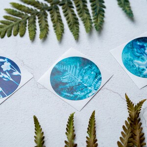 Blue Botanical Cyanotype Stickers Pack of 10 or 20 Round Glossy Labels Ferns, Leaves & Flowers Nature Gift Wrap Supplies, Envelope Seals image 10