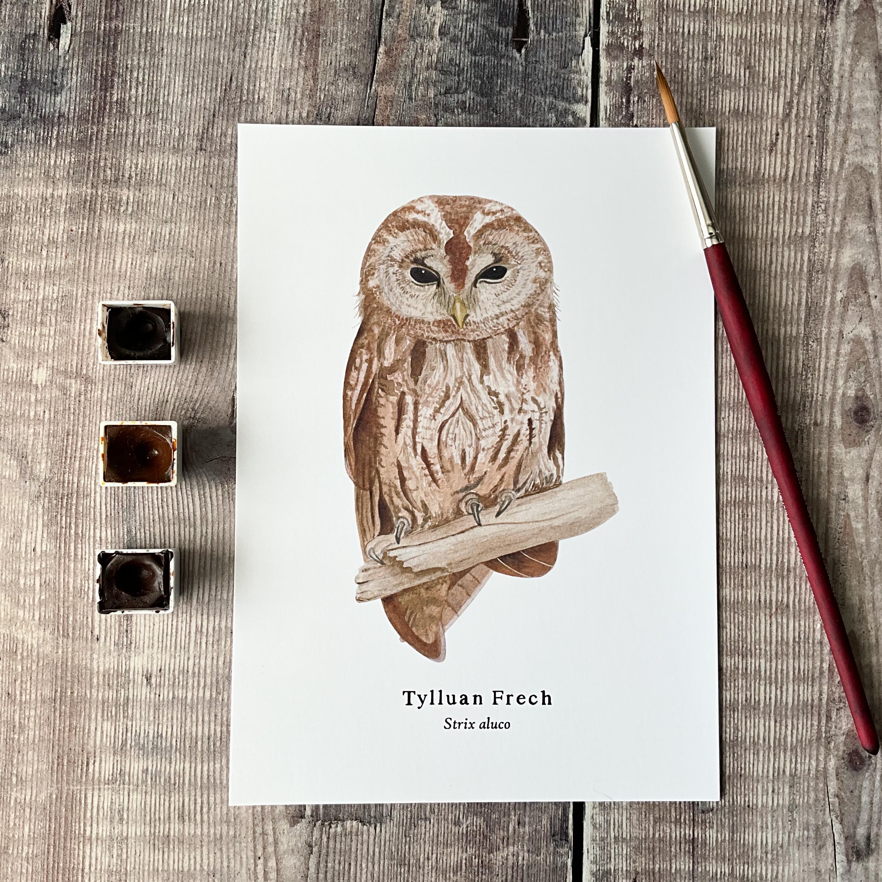Tylluan Frech - Welsh Print Cymraeg, Tawny Owl 5"x7" Giclee Print, Originally Hand-Painted