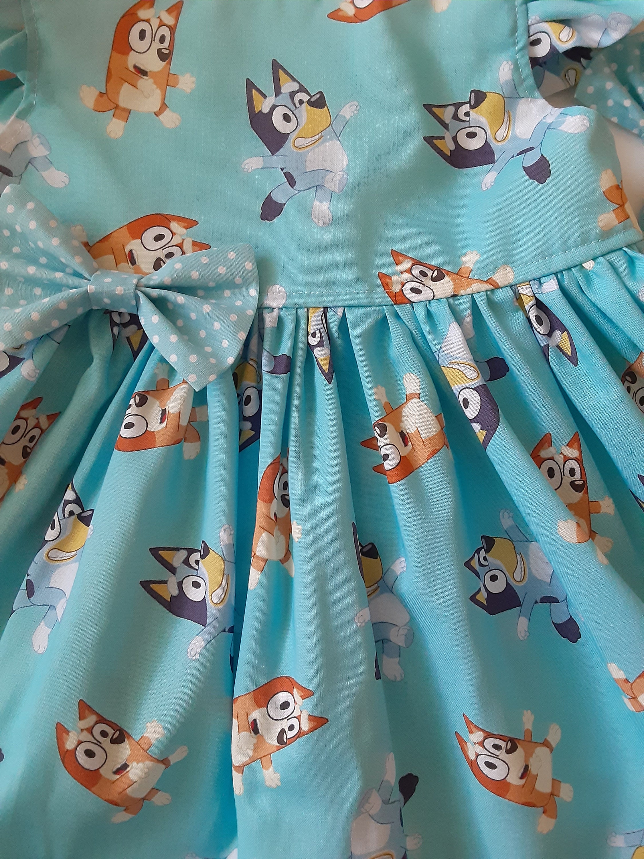 Bluey Happy Birthday Dress – One-Six Kids Boutique