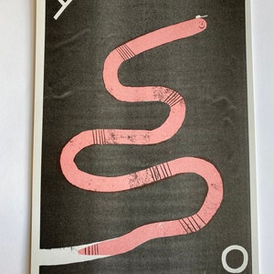 A3 2 colour Cool worm risograph print poster