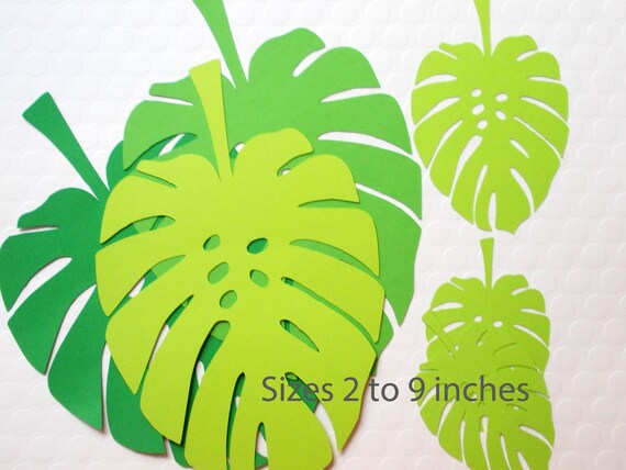 monstera leaf cutouts etsy