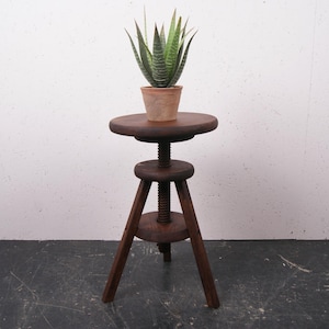 May include: A dark brown wooden stool with a circular seat and a central threaded screw mechanism for height adjustment, supported by three angled legs. A small green succulent plant in a light brown terracotta pot sits on the stool seat.