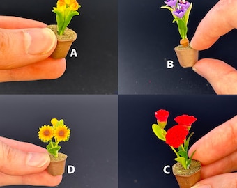 Pode incluir: Quatro plantas em miniatura em vaso com flores diferentes. As plantas são etiquetadas com A, B, C e D. As flores são amarelas, roxas, vermelhas e amarelas.