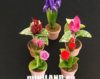 Pode incluir: Seis plantas em vaso em miniatura com várias flores, incluindo íris roxas, lírios vermelhos e rosas cor-de-rosa. Os vasos são marrons e as plantas têm folhas verdes. A imagem inclui o texto "miniLAND.ca The Center For Hand Crafted Miniatures".