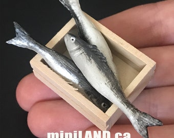 3 Pesce Fisso Su Un Vassoio Con Ghiaccio Tumdee 1:12 Scala Bambole Casa