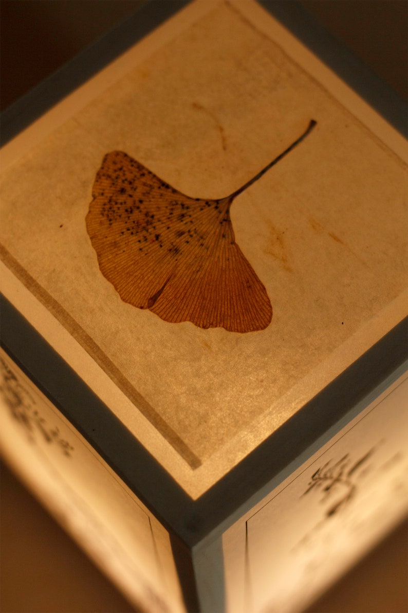 Etsy Hand-Made Japanese Shoji Lantern featuring Woodblock reprints circa 1845 With Ginko on Top