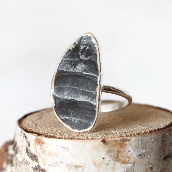 Tree Fern Ring - Size 7 1/2 - Fossilized Fern Ring - Stone Specimen - Rock Hound Gift