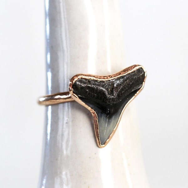 Shark Tooth Ring - Prehistoric Jewelry - Fossilized Tooth - Gift for Ocean Lover