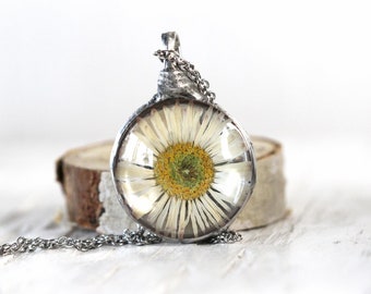 Daisy Pendant - Botanical Jewelry - Soldered Glass Pendant - Pressed Flower Jewelry