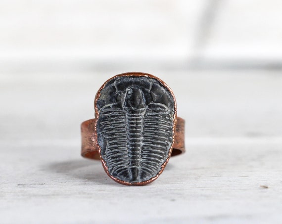 Electroformed Ammonite Fossil Ring Electroformed Ammonite Fossil Ring