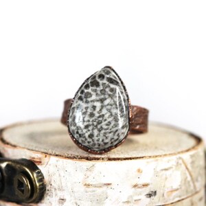 May include: A teardrop-shaped ring with a fossilized stone set in a copper band. The stone is white with black markings.