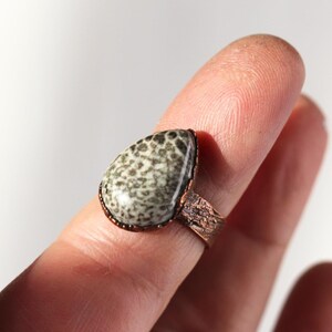 May include: A copper ring with a teardrop-shaped grey and white fossilized stone.