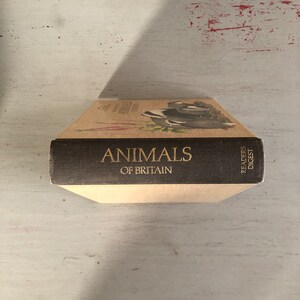 thumbnail image 2 of Field Guide To The Animals Of Britain – Reader’s Digest Hardcover, 1984, Illustrated 2 of 4