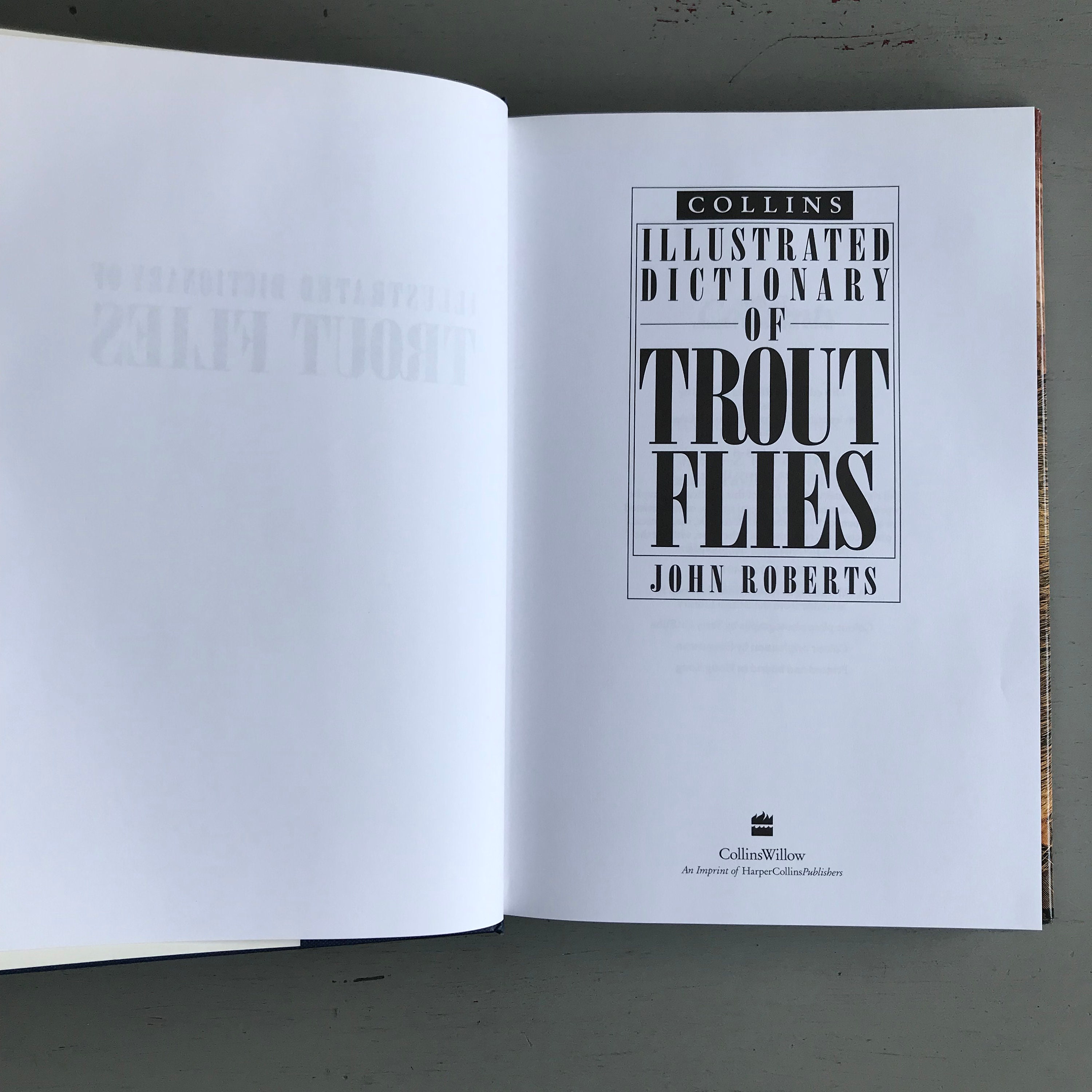 DICTIONARY of TROUT FLIES Etsy