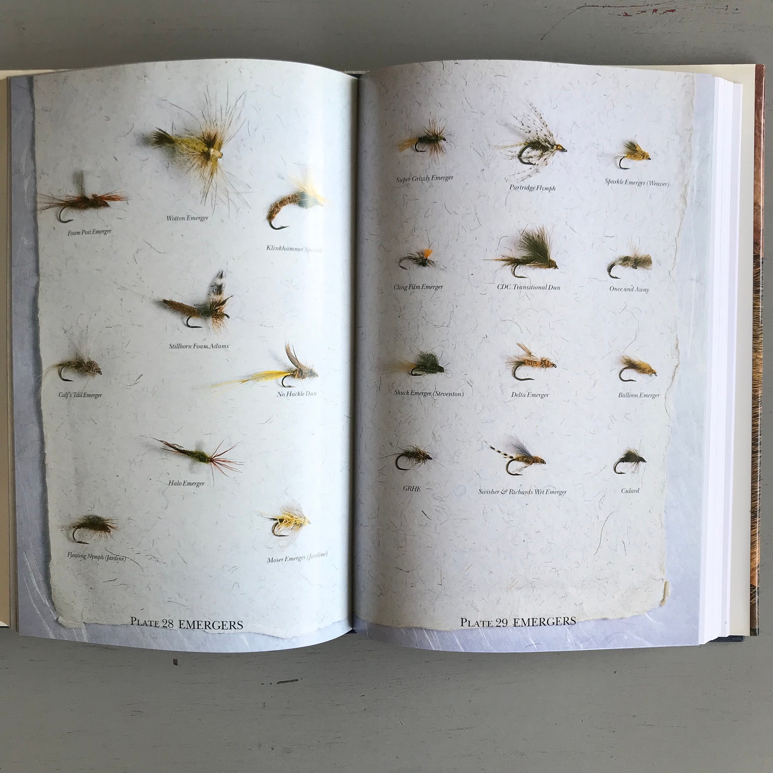 DICTIONARY of TROUT FLIES Etsy