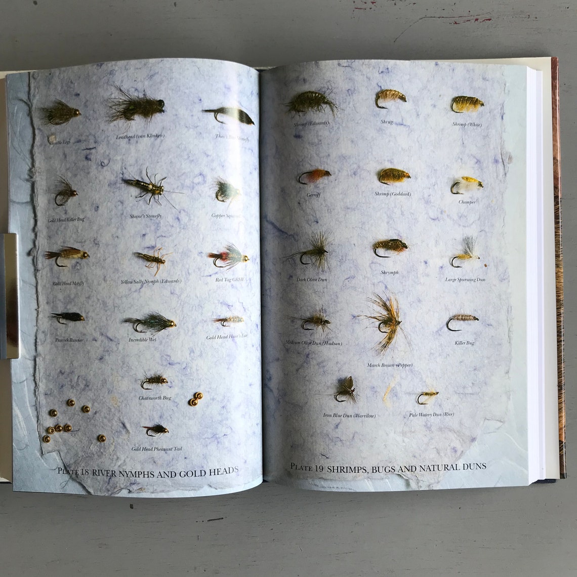 DICTIONARY of TROUT FLIES Etsy