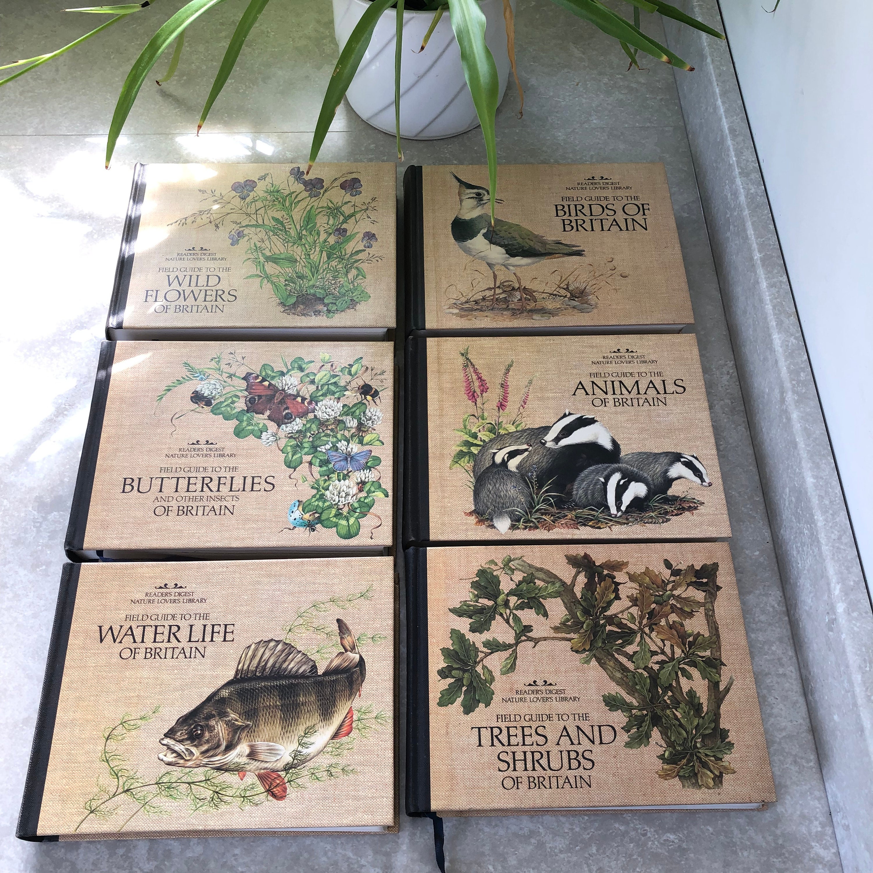 READERS DIGEST Field Guides - Full Set 6 Volumes of Nature Books