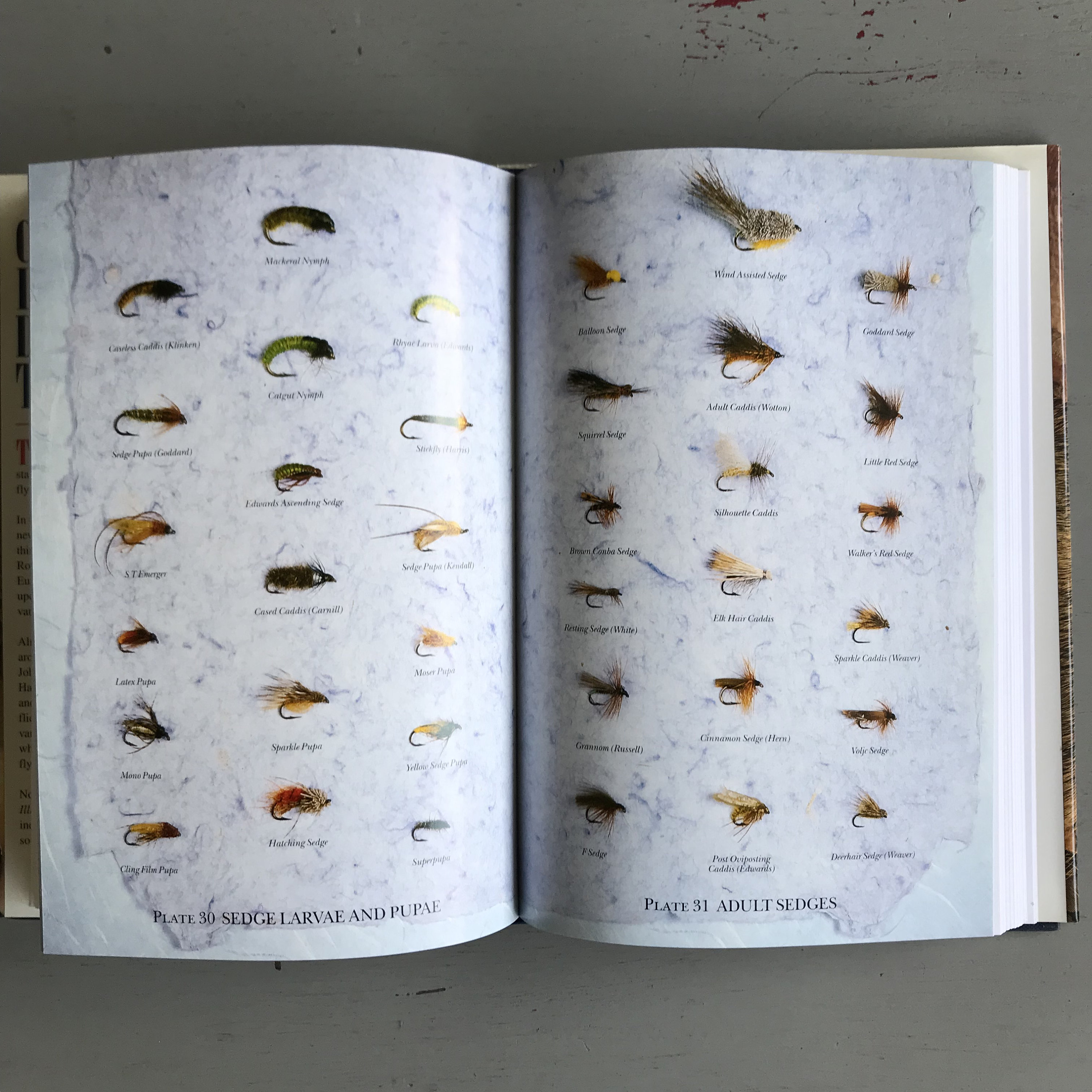 DICTIONARY of TROUT FLIES Etsy