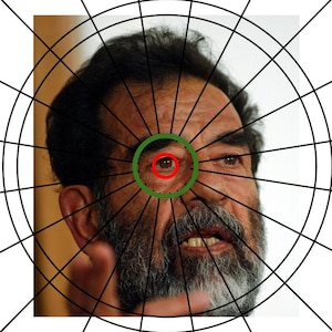 Dartdicks Saddam