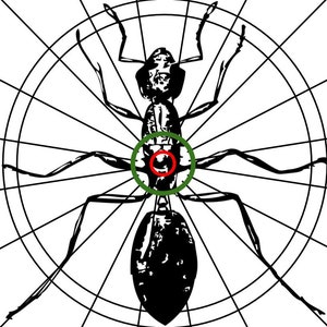 May include: A black and white ant illustration on a white background with a green circle around the ant's body and a red circle around the ant's head. The ant is in the center of a dartboard.