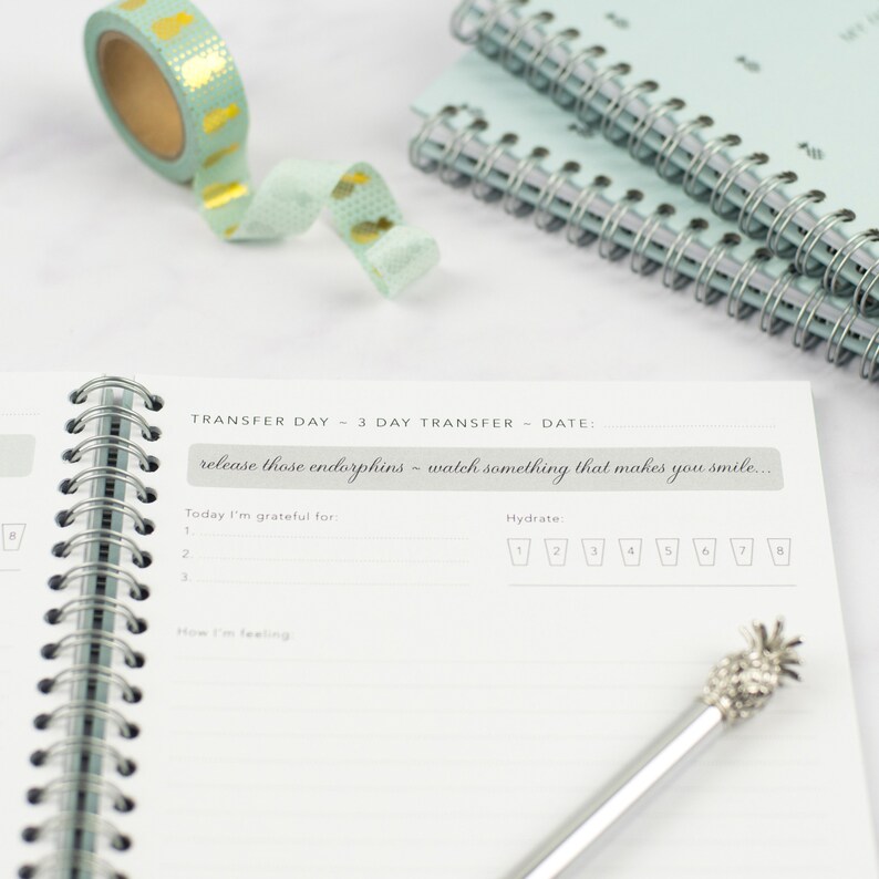 A close up of one of the ivf planner daily pages. The quote reads 'your journey has started and you are in charge', there is space for gratitude, space to journal and write down appointments, medication, meal plan and hydration.
