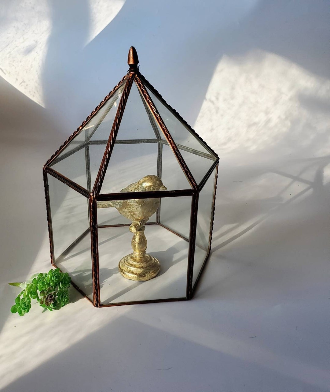 Large 10 Terrarium Cover Bottomless Terrarium Plant Etsy