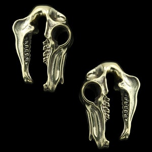 Equestrian Skull Brass Ear Weights