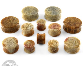 Indonesian Fossilized Coral Plugs Sizes / Gauges (0G up to 1 Inch)
