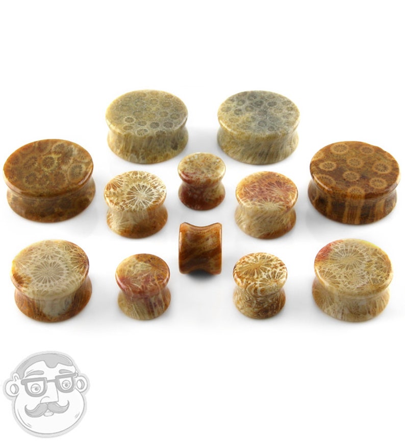 0G up to 1 Inch Indonesian Fossilized Coral Plugs Sizes Gauges