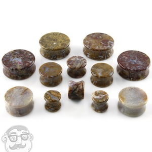 May include: A selection of stone ear plugs in different sizes and shapes. The plugs display a mix of brown, tan, and reddish-brown hues with distinctive patterns. The collection includes cylindrical and flared designs, ideal for body modification.