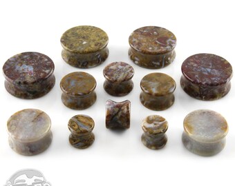 Petrified Palm Root Agate Plugs (1/2" up to 1 Inch)