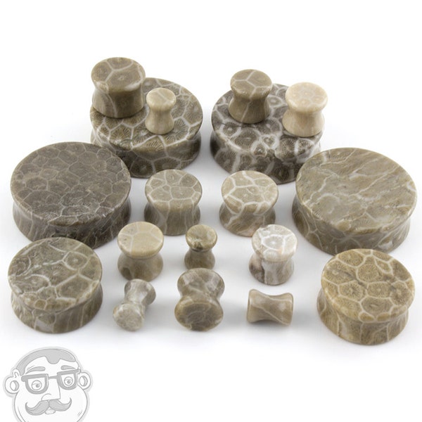 Fossilized Coral Plugs