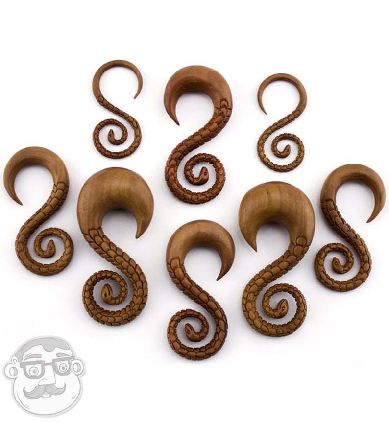 Wooden Snake Spiral Hangers Plugs Sizes / Gauges 12G Etsy