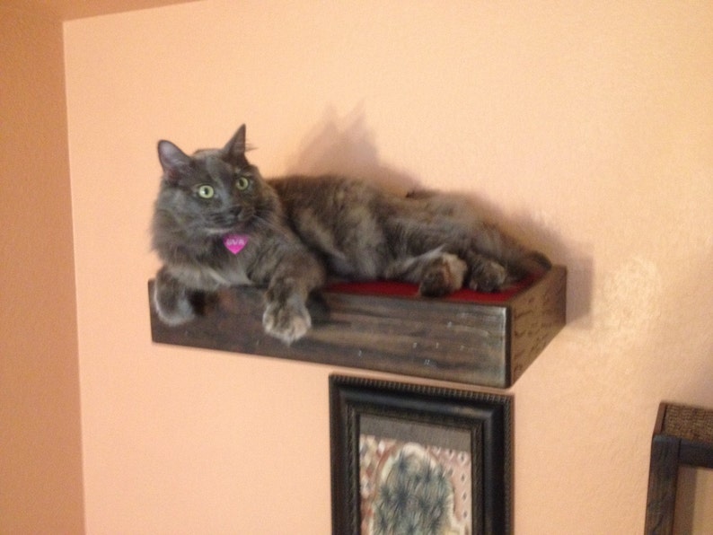 Set of Four: Three Floating Cat Cube Shelves and One Floating Cat Bed Floating Cat Shelves Cat Perch Reclaimed Wood Shelves image 2