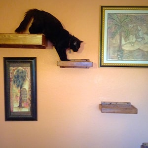 Set of Five | Four Floating Cat Shelves | One Floating Cat Bed | Cat Shelves | Cat Perch | Reclaimed Wood Shelves | Cat Furniture