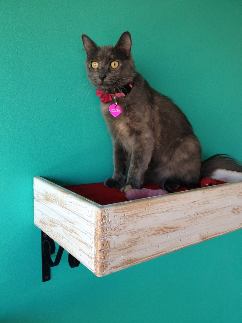 Set of Three Two Cat Shelves One Cat Bed Cat Wall Bed Cat Shelves Cat Perch image 3